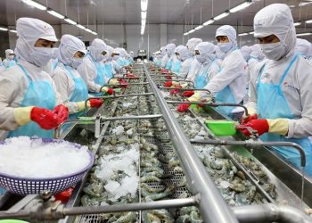 Sắp diễn ra triển lãm Vietfish 2025