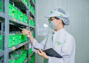 Vinasoy công bố thông điệp mới, kiến tạo dưỡng chất lành từ đậu nành và hạt