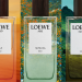 Top 3 mùi hương Elixir đình đám trong bộ sưu tập Landscape của LOEWE 